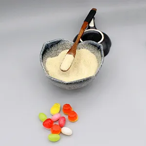 Made in China Hot Sale Gelatin Products